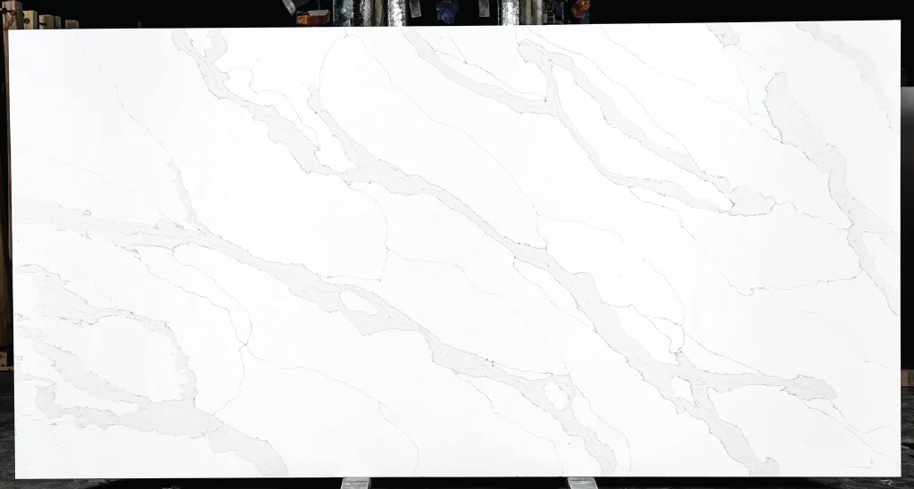 CALCUTTA-THALa-slap-view